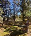2795 State Highway 49 - Photo 4