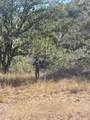 0 Cachagua Rd - Photo 3