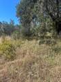 0 Cachagua Rd - Photo 9