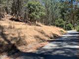 00 Lupine Ln - Photo 4