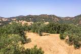 39 Arroyo Sequoia - Photo 1