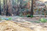 11810 Clear Creek - Photo 1