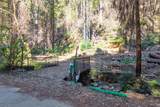 11810 Clear Creek - Photo 4
