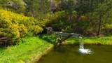 64 Marguerite (Tehama) - Photo 10