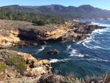 64 Marguerite (Tehama) - Photo 11