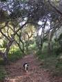 64 Marguerite (Tehama) - Photo 5