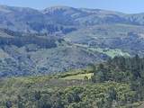 64 Marguerite (Tehama) - Photo 7