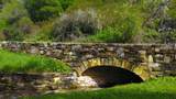 64 Marguerite (Tehama) - Photo 9
