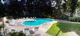 377 Mandarin Dr 204 - Photo 21