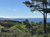 4021 Sunridge Rd - Photo 3