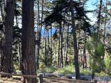 4021 Sunridge Rd - Photo 35