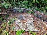 20604 Little Basin Rd - Photo 12