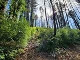 20604 Little Basin Rd - Photo 18
