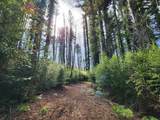20604 Little Basin Rd - Photo 19