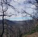 20604 Little Basin Rd - Photo 2