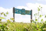 801 Bean Hollow Rd - Photo 65