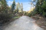 16470 Jamison Creek Rd - Photo 10