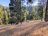 20130 Pine Mountain Dr #4,137 - Photo 7