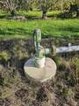 0 Varni Rd - Photo 5
