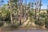 2901 Bird Rock Rd - Photo 11