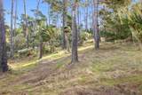 2901 Bird Rock Rd - Photo 16