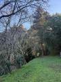 20525 Iron Springs Rd - Photo 2