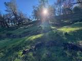 0 Redbud - Photo 5