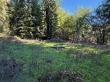 1000 Harmon Gulch Rd - Photo 31