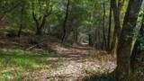 1000 Harmon Gulch Rd - Photo 36