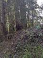 8055 Glen Haven Rd - Photo 3