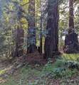 8055 Glen Haven Rd - Photo 4