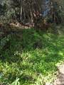 8055 Glen Haven Rd - Photo 5