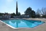 9568 Lorenzo St - Photo 7