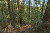 0 Country Club Dr - Photo 1