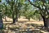 28 Long Ridge Trail - Photo 8
