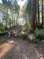 00 Love Creek - Photo 17