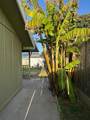 755 Pino Way - Photo 48