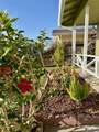 755 Pino Way - Photo 5