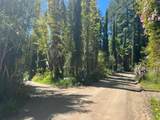 1385 Amaya Ridge Rd - Photo 17