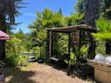 1385 Amaya Ridge Rd - Photo 30