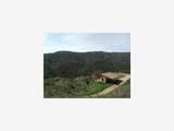 0 Croy Rd - Photo 1
