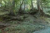 0 Pringle Ln - Photo 10