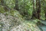 0 Pringle Ln - Photo 13