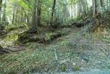 0 Pringle Ln - Photo 5