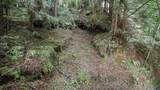 0 Pringle Ln - Photo 6