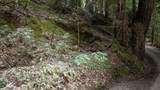 0 Pringle Ln - Photo 7
