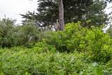 0000 Oak Ave - Photo 4