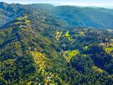 0 Loma Prieta - Photo 7