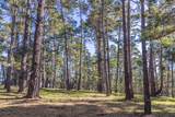 1401 Viscaino Rd - Photo 14