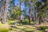 1407 Viscaino Rd - Photo 6